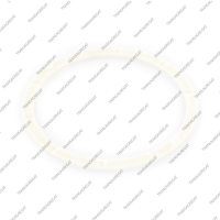 Шайба коронной шестерни заднего планетарного редуктора (97x85x2.3, пластиковая*)