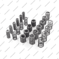 Комплект пружин сцепления (24шт.)